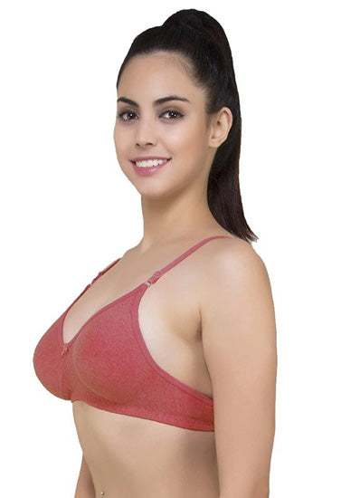 Lightly Padded classic comfort bra pack of 2 - My Vastra