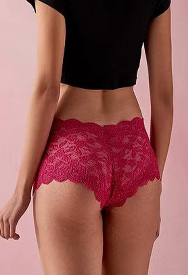 Sexy Lace High Waist Underwear Pack (of 5) - My Vastra