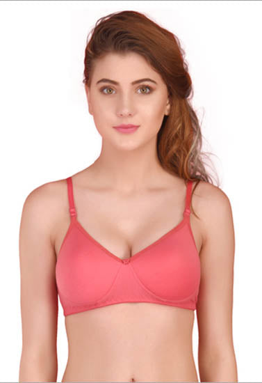 3 Pack Seamless padded T shirt bra - My Vastra