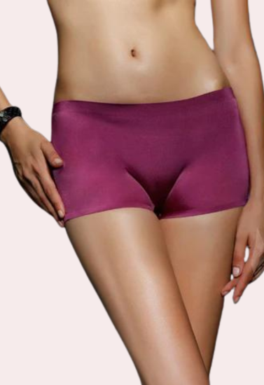Women's Seamless Ice Silk Boyshorts Panties (4pcs) - My Vastra