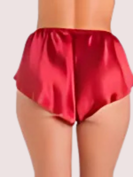 Luxury Silk Satin French Knicker