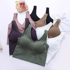 High impact padded longline sports bra (2 Pack ) - My Vastra