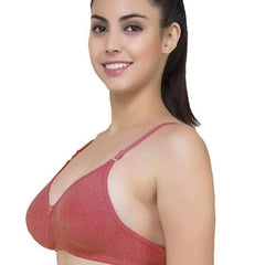 Lightly Padded classic comfort bra pack of 2 - My Vastra