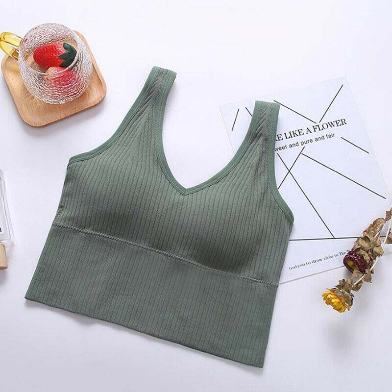 High impact padded longline sports bra (2 Pack ) - My Vastra