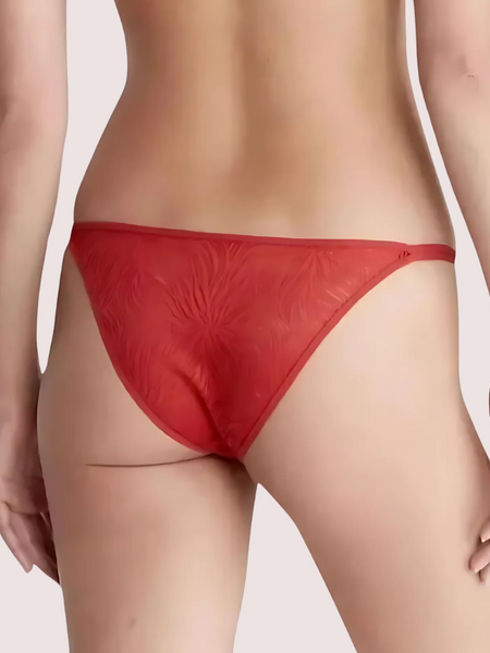 Exclusive French Daina Lace Tanga Panties Luxury Gift Box