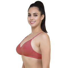Lightly Padded classic comfort bra pack of 2 - My Vastra