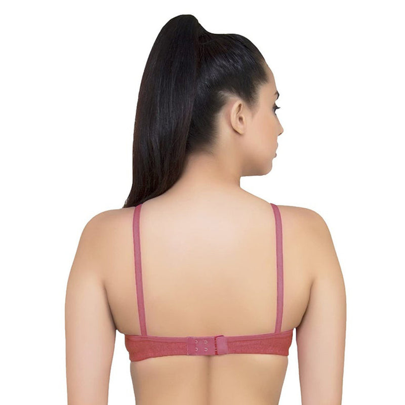 Lightly Padded classic comfort bra pack of 2 - My Vastra
