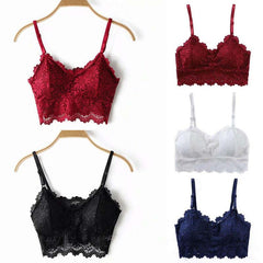 2 pack luxury lace padded bralette - My Vastra